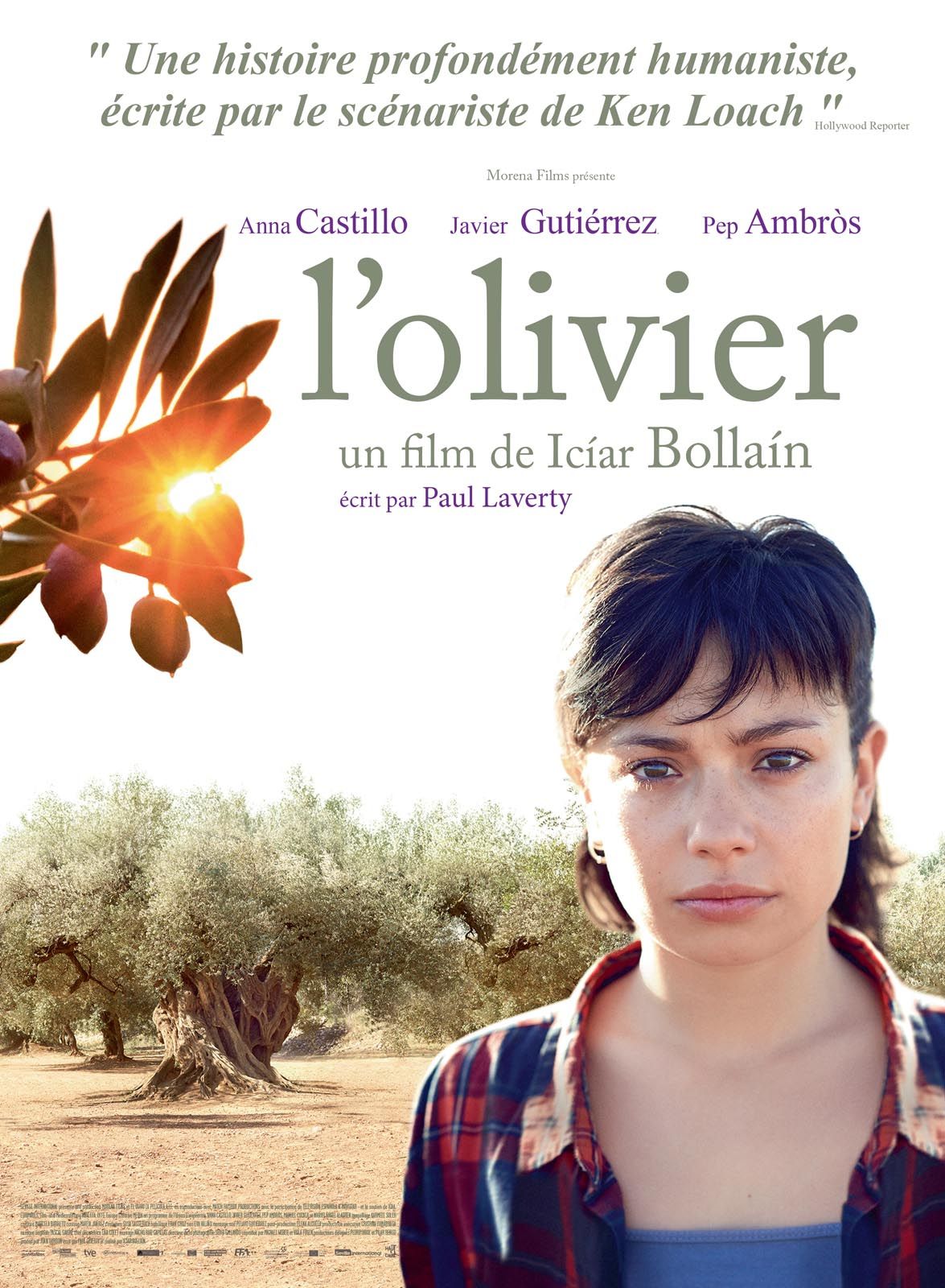 L'Olivier streaming fr