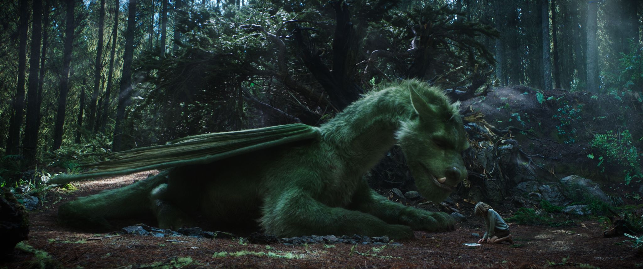 Peter Et Elliott Le Dragon 2016 Streaming Vf Photo du film Peter et Elliott le dragon - Photo 20 sur 46 - AlloCiné