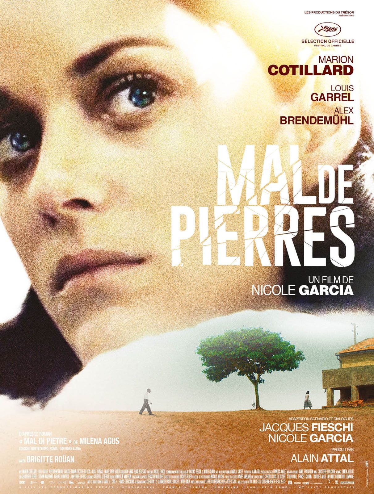Mal de Pierres streaming vf gratuit