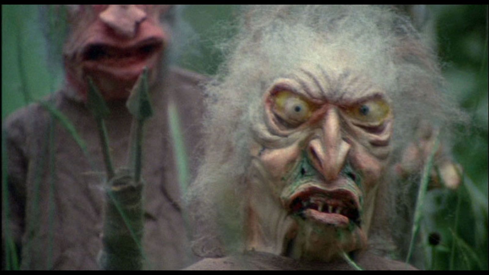 Cannibal Troll Bande Annonce Vf Photo du film Troll 2 - Photo 1 sur 9 - AlloCiné