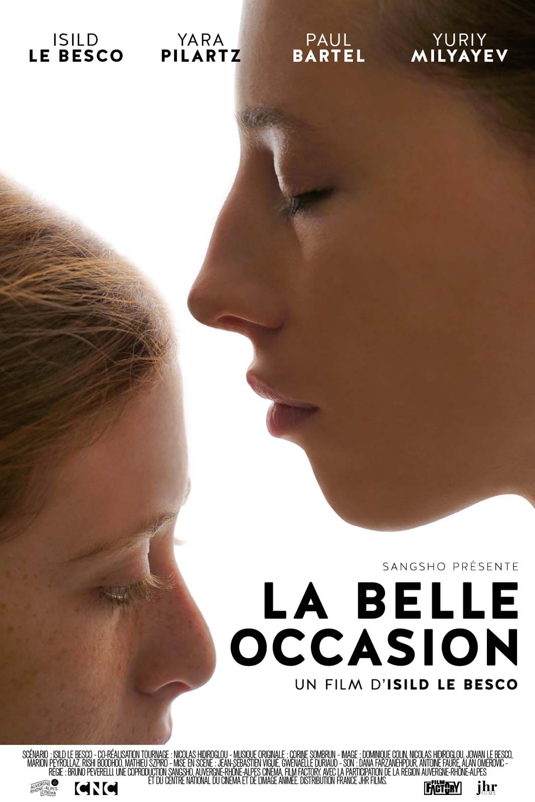 La Belle Occasion streaming fr