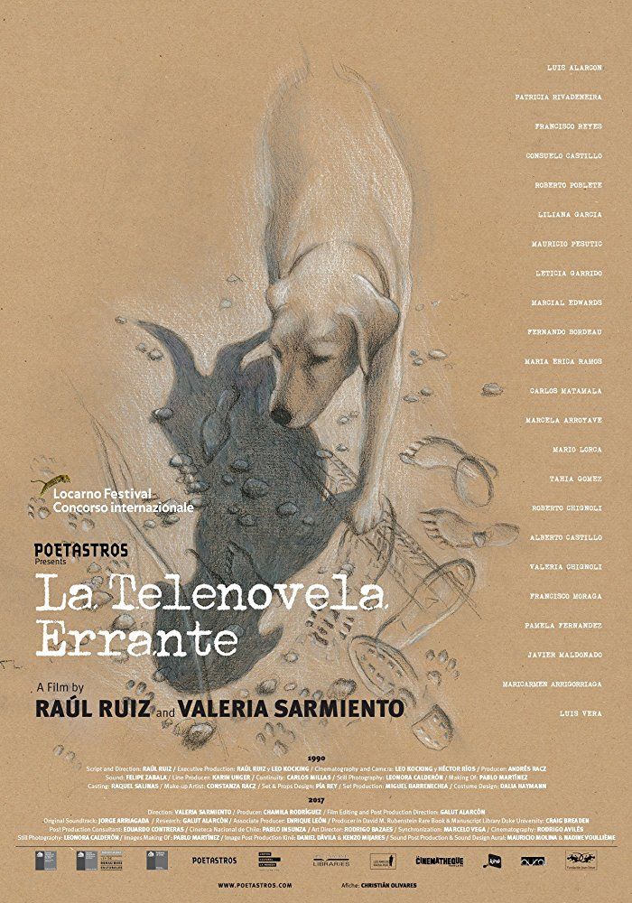 La Telenovela Errante streaming fr