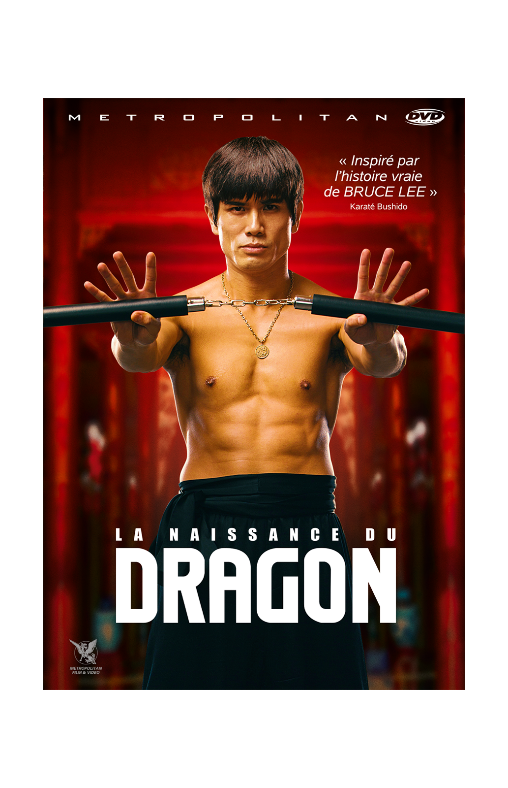 La Naissance du dragon streaming fr
