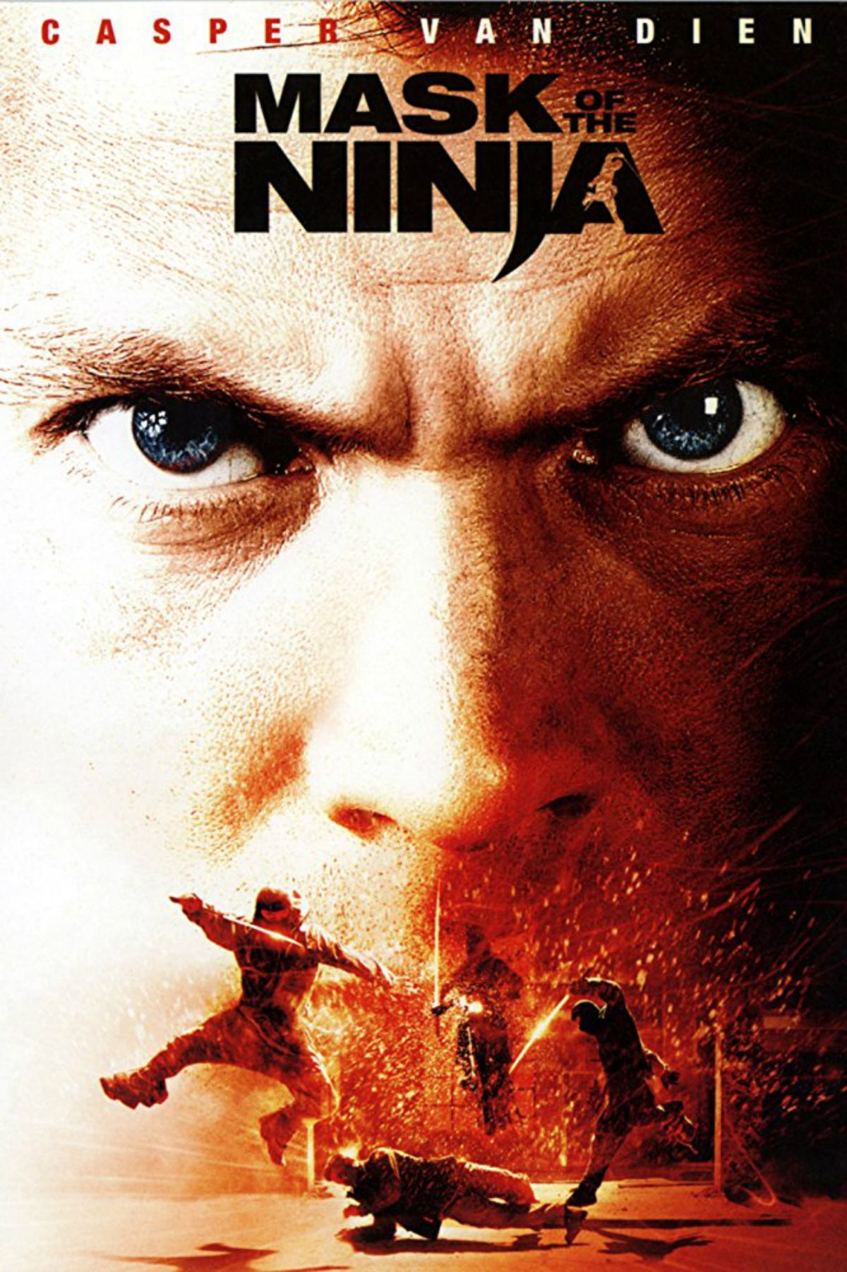 Affiche du film Ninjas en guerre Photo 2 sur 2 AlloCiné
