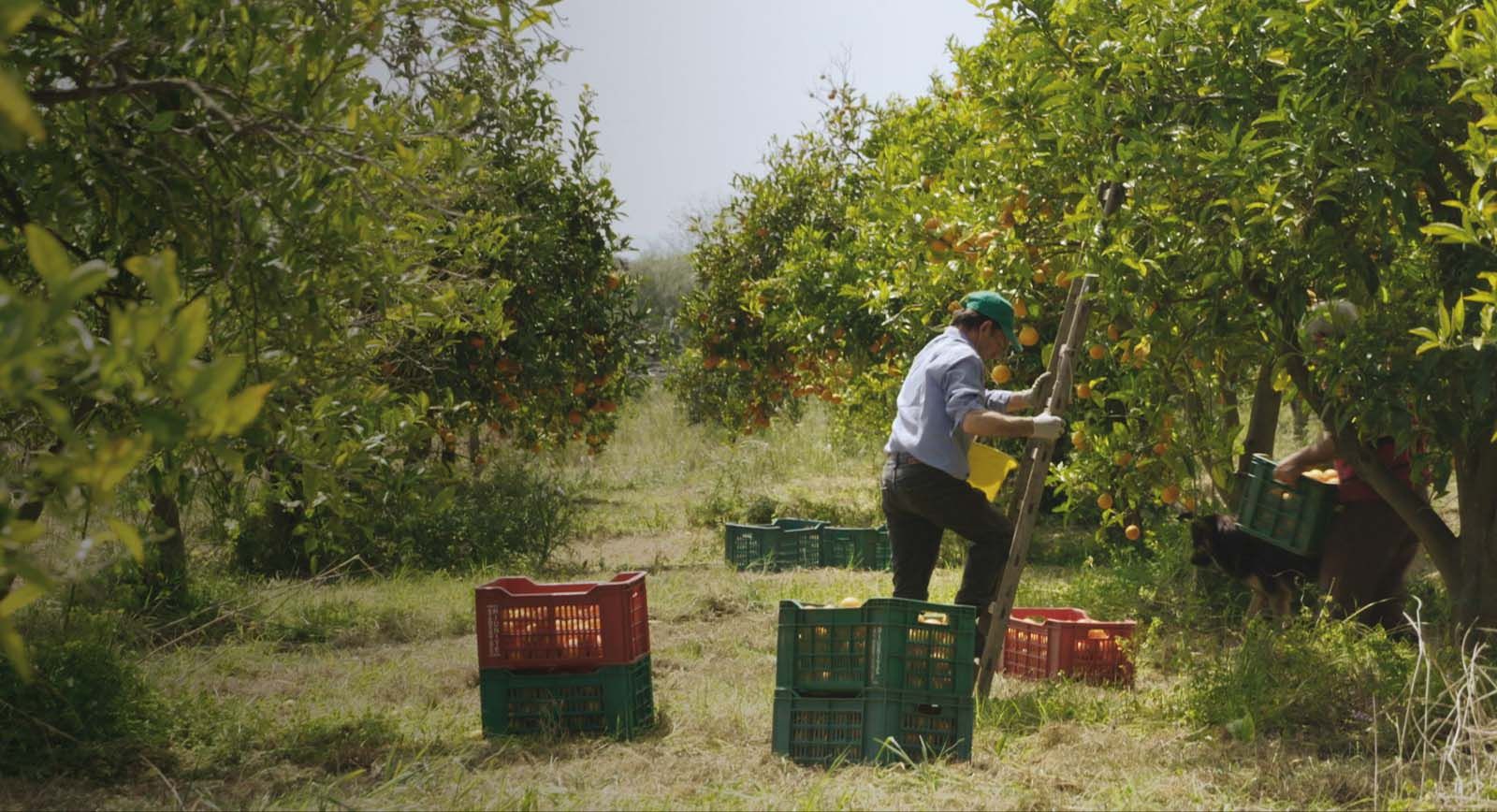 Nul Homme Est Une Ile Streaming Photo du film Nul homme n'est une île - Photo 7 sur 8 - AlloCiné