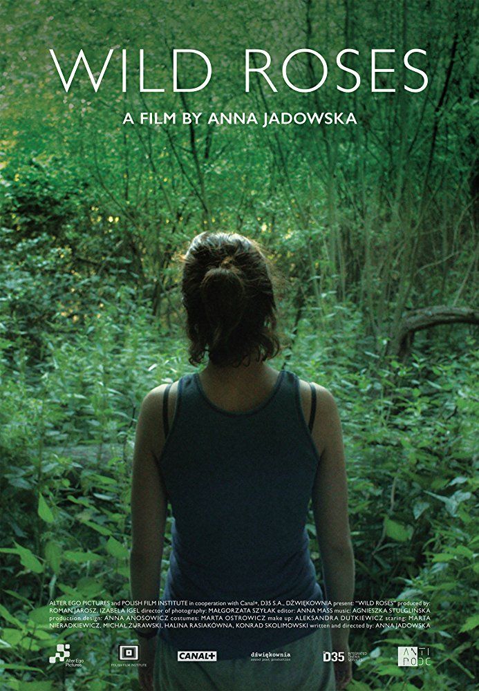 Dzikie Róze streaming gratuit