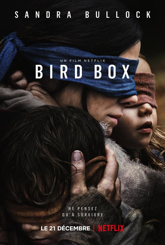 Critique Du Film Bird Box Allocine