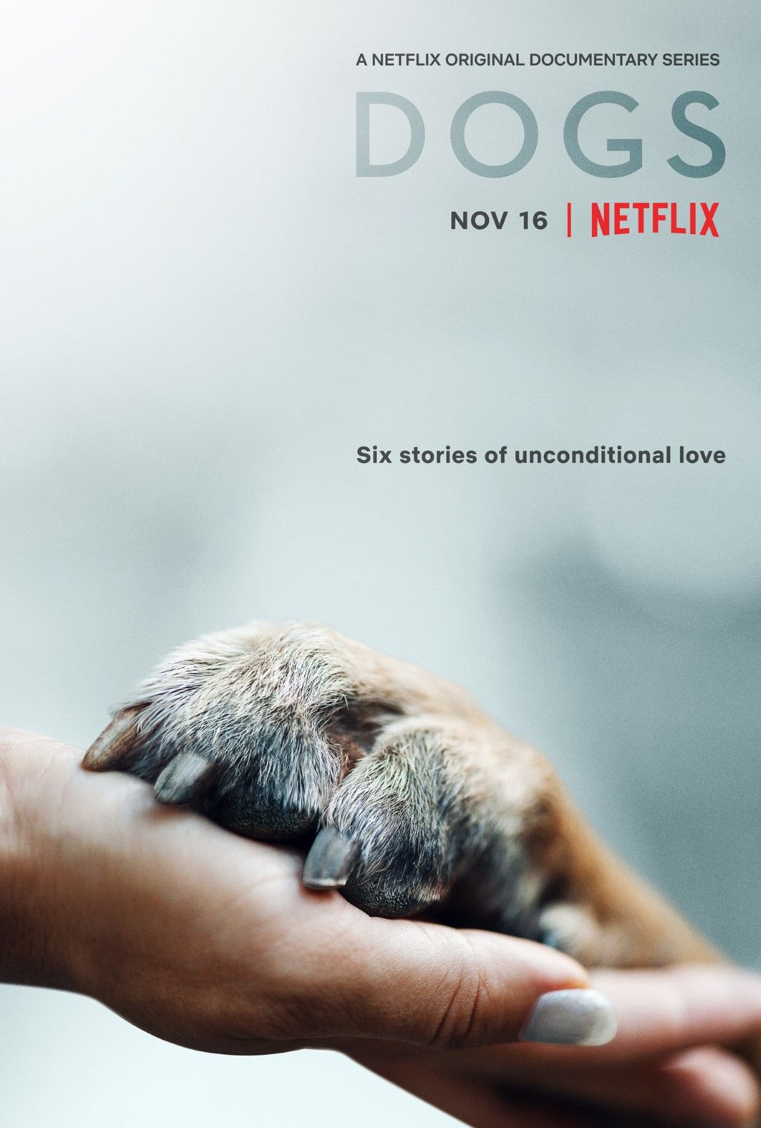 Nos amis les chiens Série TV 2018 AlloCiné