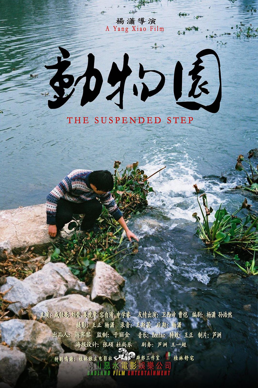 The Suspended Step streaming gratuit