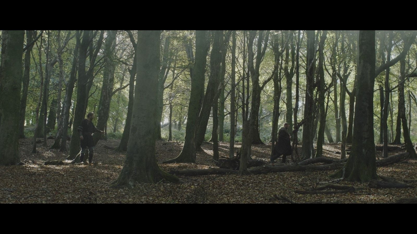 Photo du film Robin des bois : la rébellion - Photo 9 sur 11 - AlloCiné