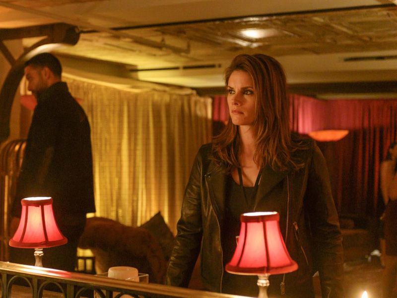 Films Et Séries Tv Avec Missy Peregrym F.B.I. : Photo Missy Peregrym - 89 sur 176 - AlloCiné