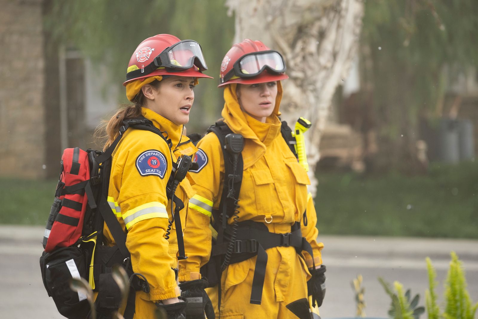 Grey's Anatomy : Station 19 : Grey's Anatomy : Station 19 : Photo