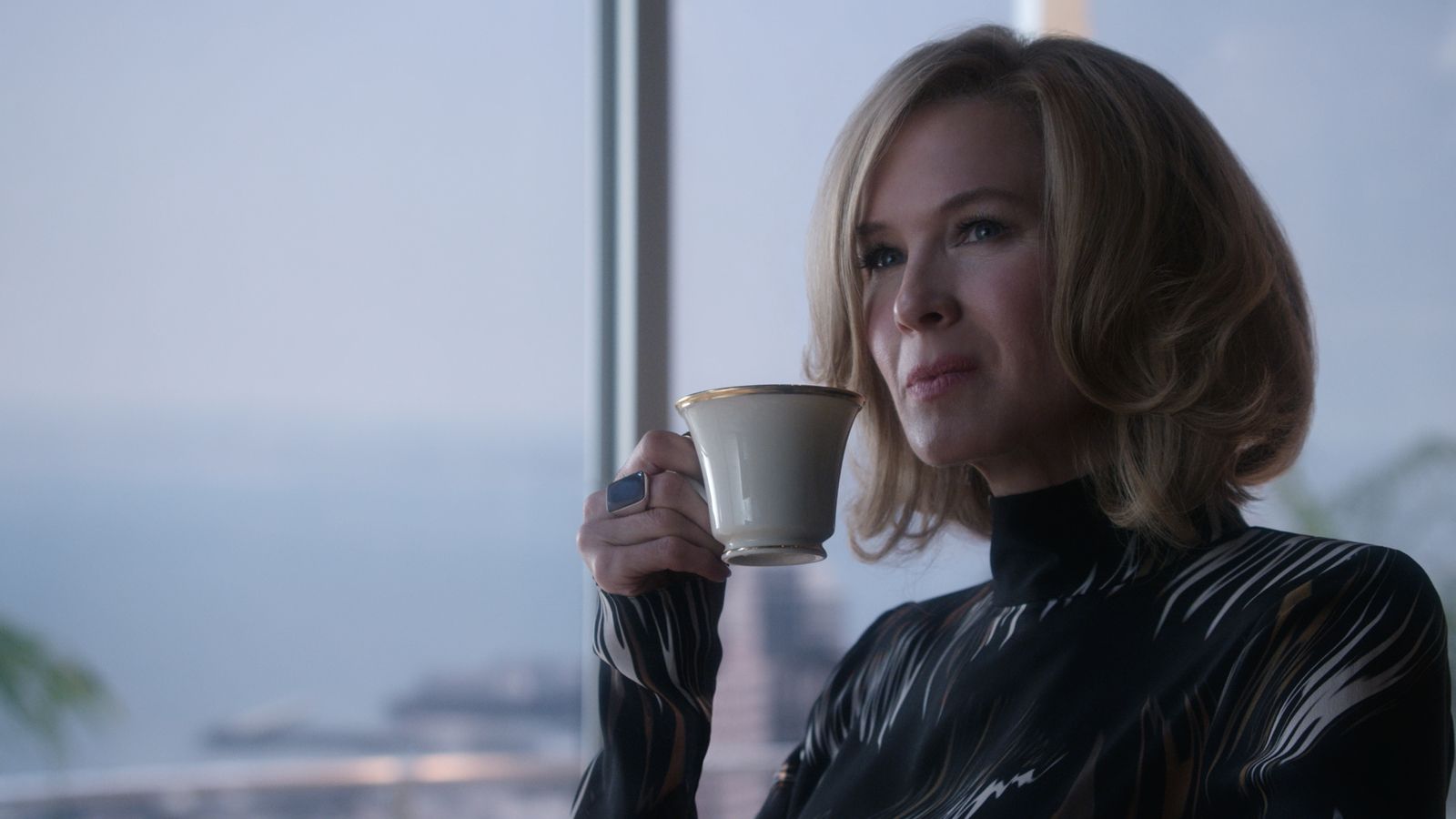 What If What If Photo Ren e Zellweger 13 Sur 56 AlloCin What if what if photo ren e zellweger 13 sur 56 allocin
