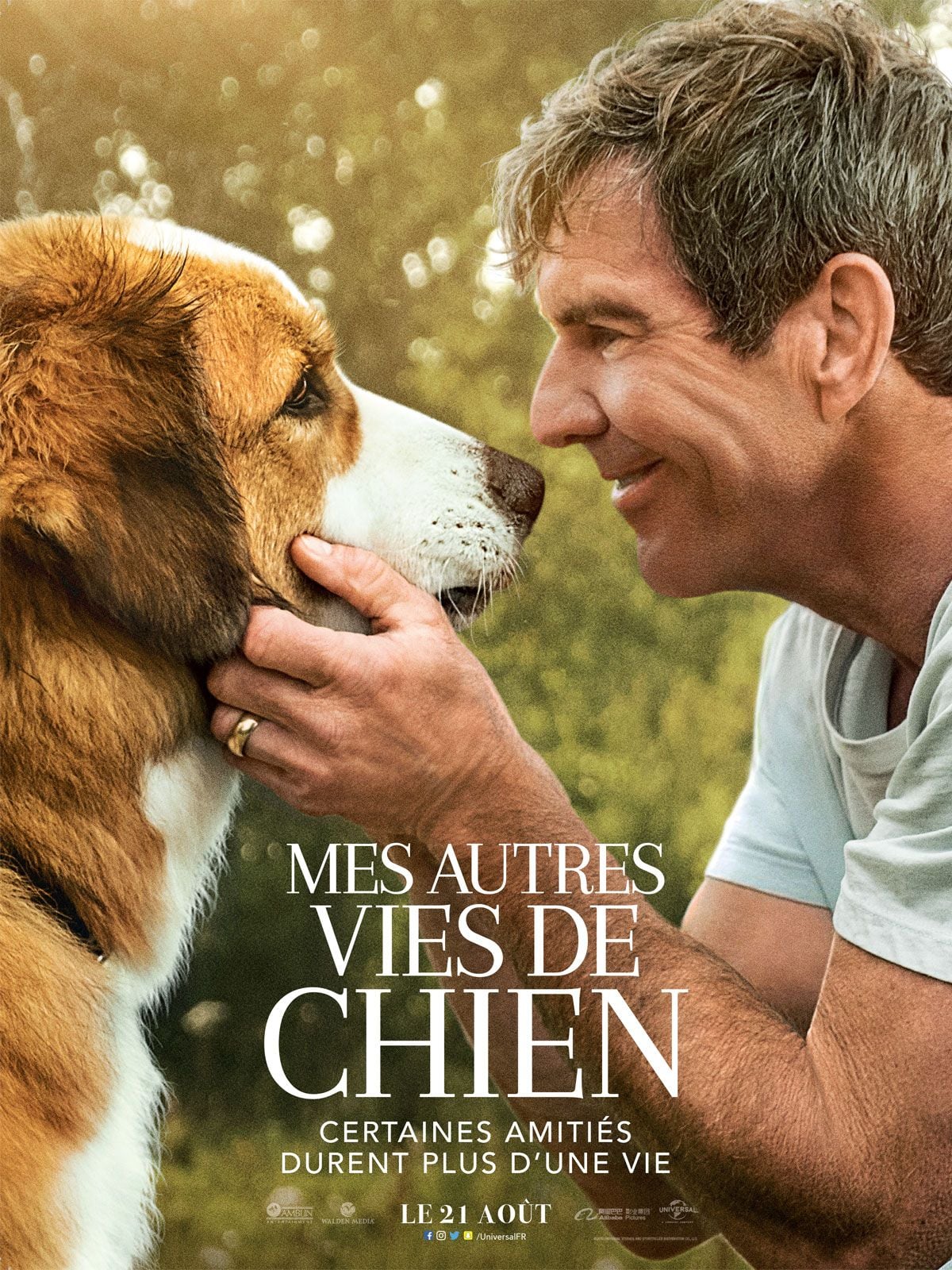 Mes autres vies de chien streaming vf gratuit