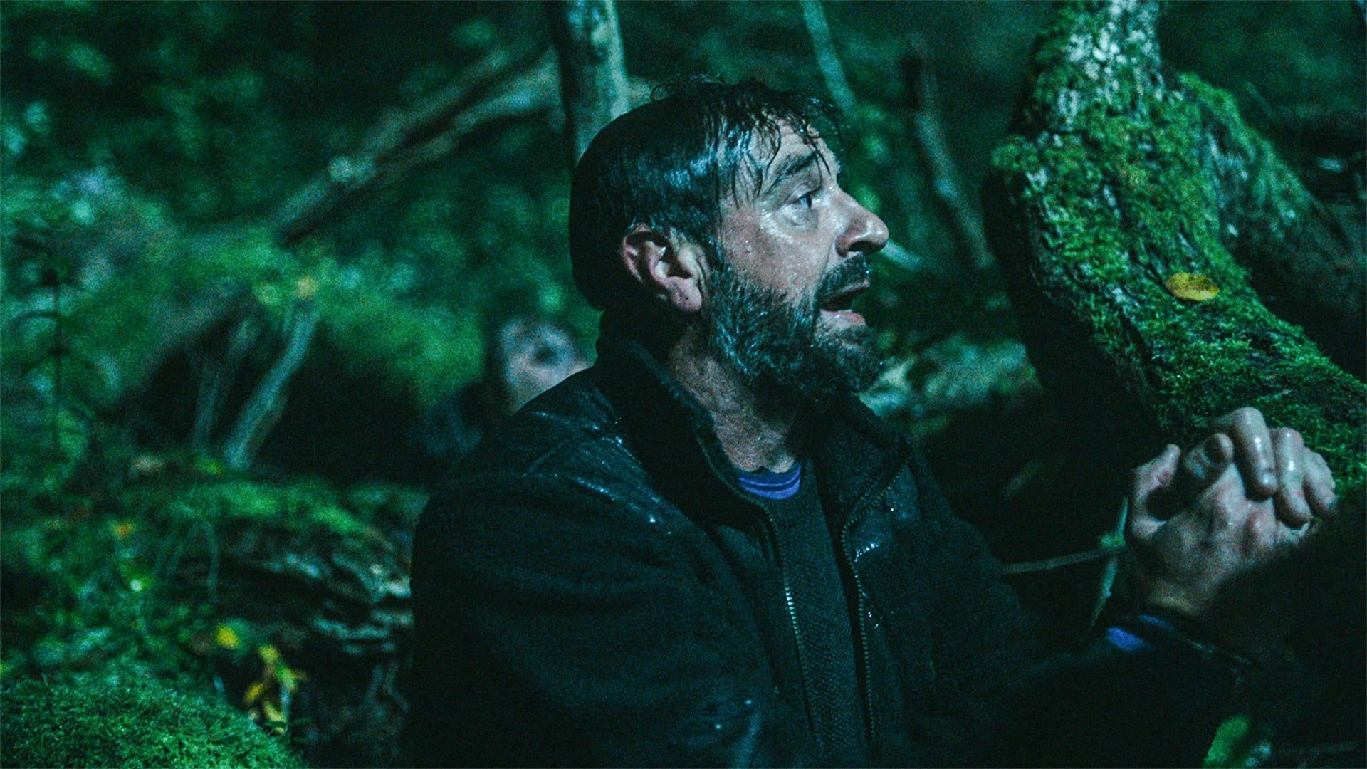 под прикрытием 5