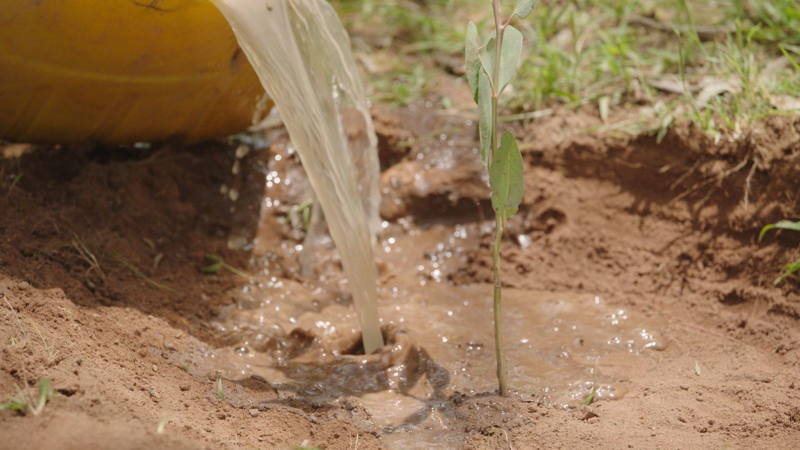 Photo du film The Great Green Wall Photo 15 sur 17 AlloCiné