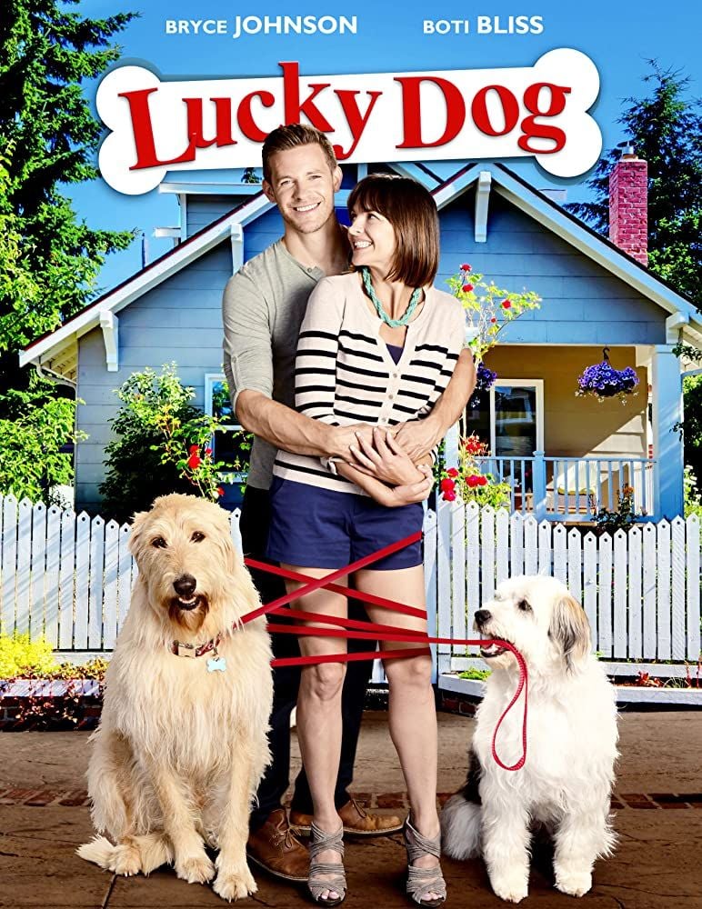 Un chien très chanceux streaming fr