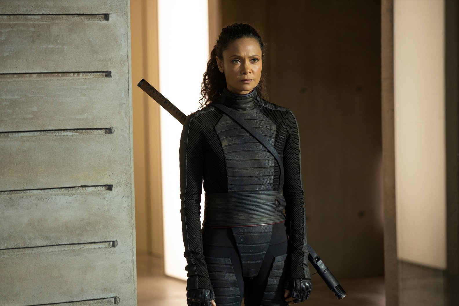 Westworld : Photo Thandiwe Newton - 9 sur 164 - AlloCiné