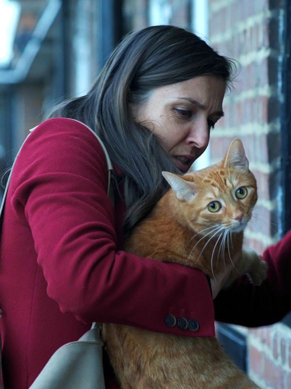 Un chat dans le mur streaming gratuit