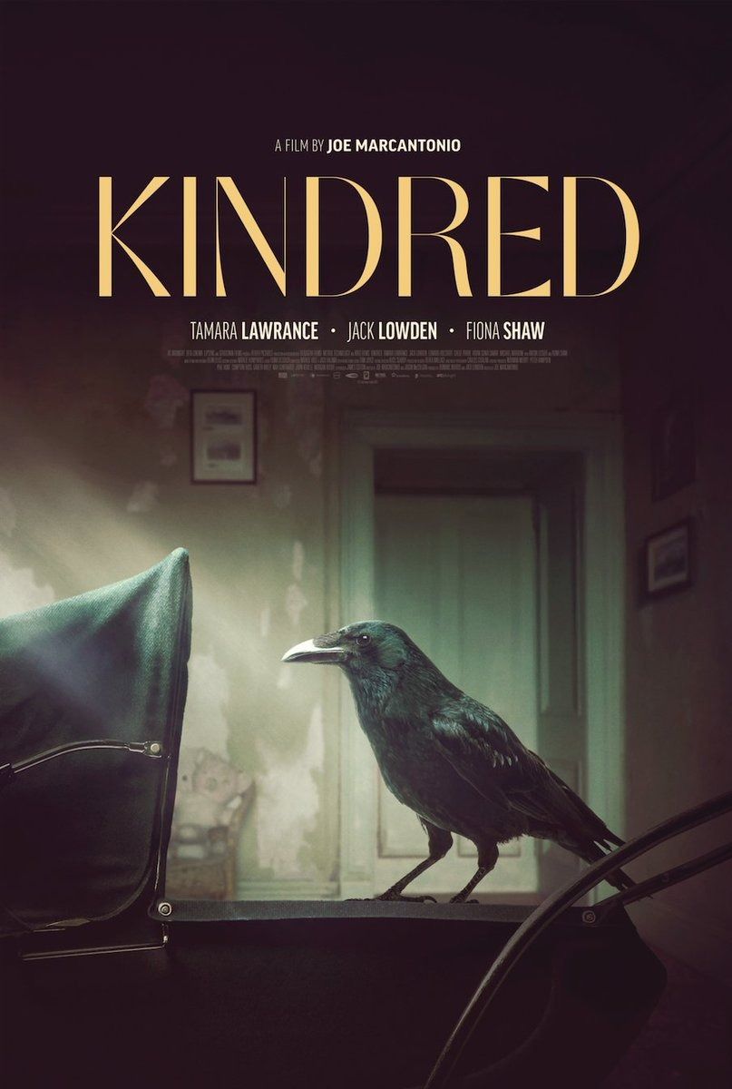 Kindred streaming vf gratuit