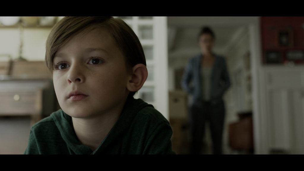 Photo du film Z - Photo 6 sur 7 - AlloCiné