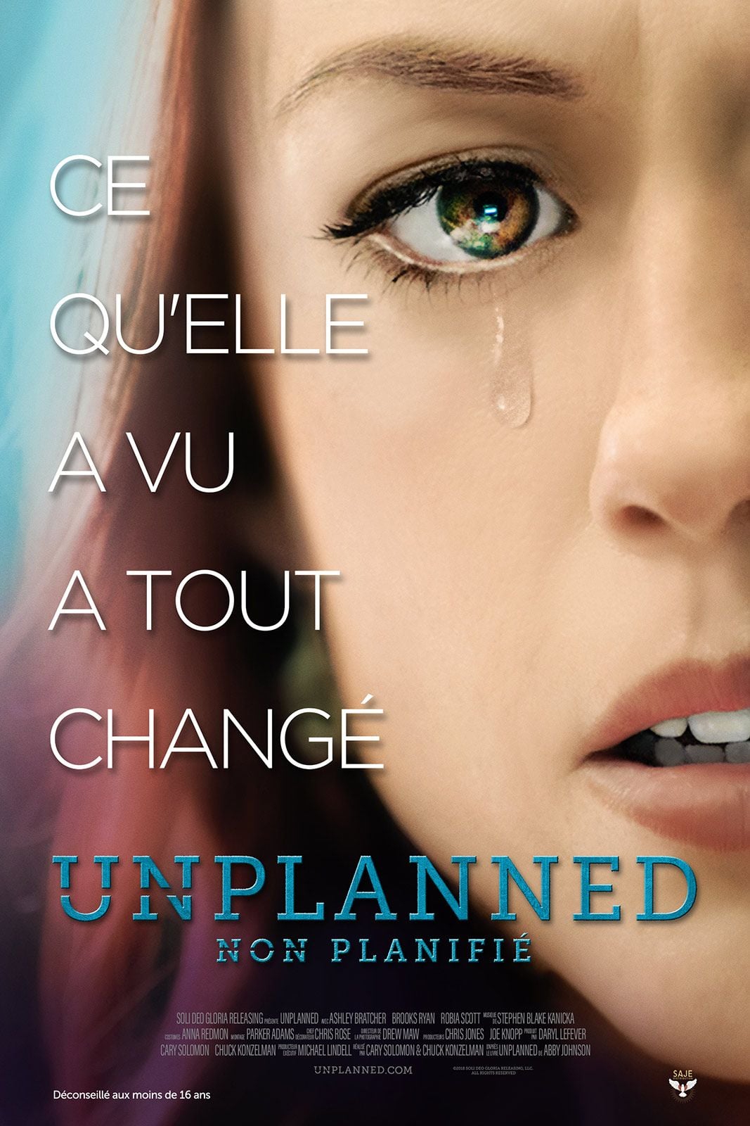 Unplanned streaming gratuit
