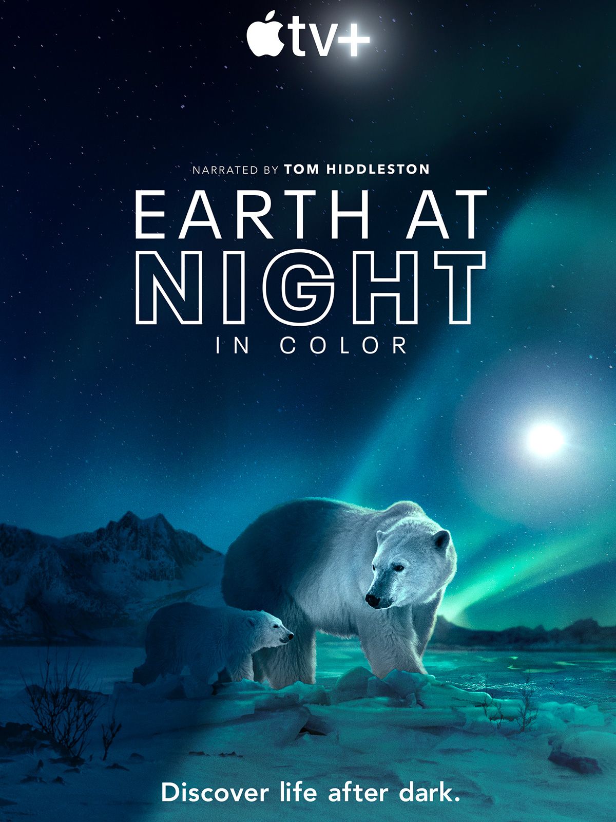 La Montagne Aux Secrets Saison 1 Terre : les couleurs nocturnes Saison 2 - AlloCiné
