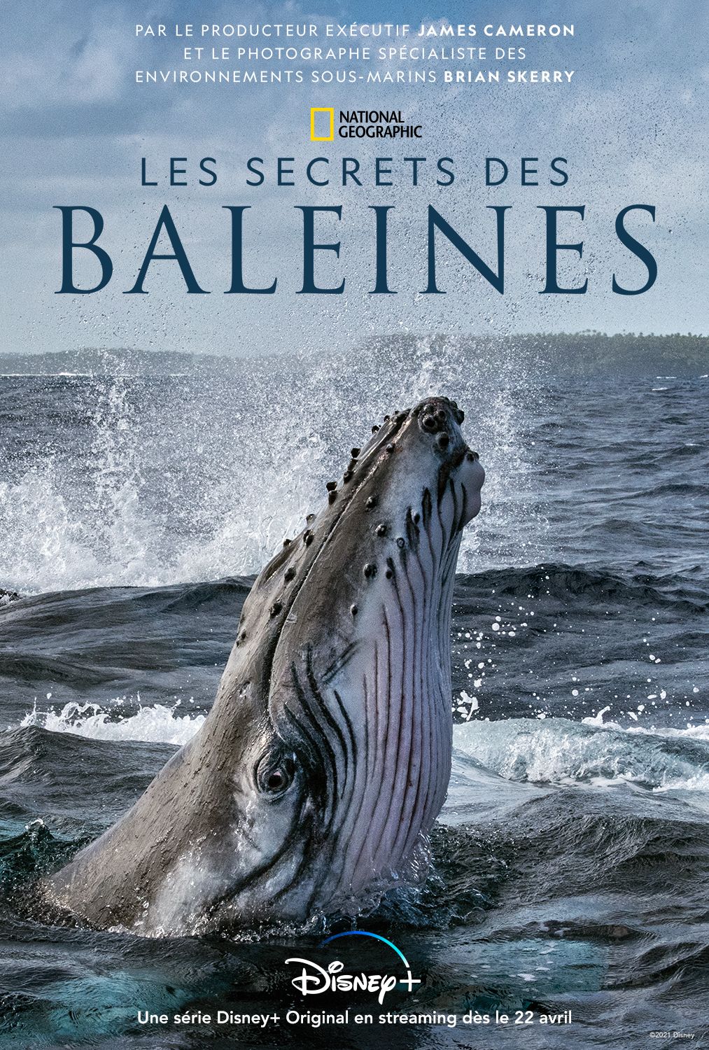 Coeur Ocean Saison 1 Streaming Les Secrets des baleines - Série TV 2021 - AlloCiné