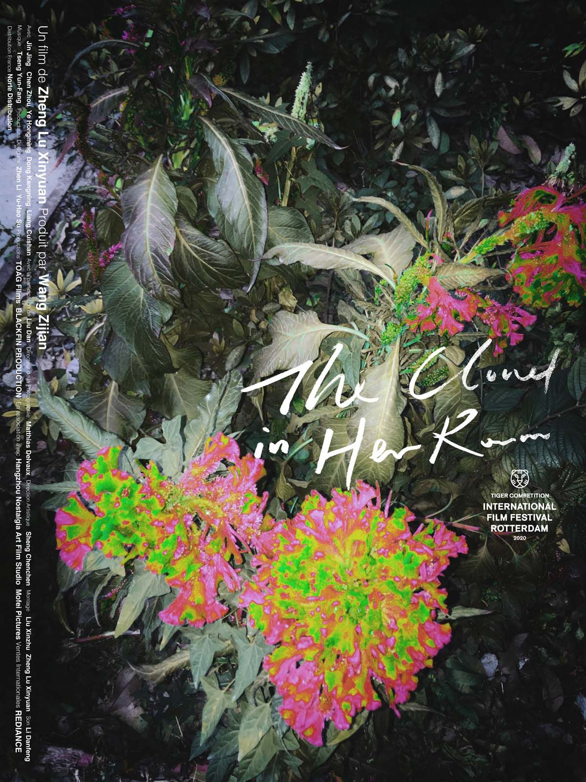 The Cloud in Her Room streaming fr