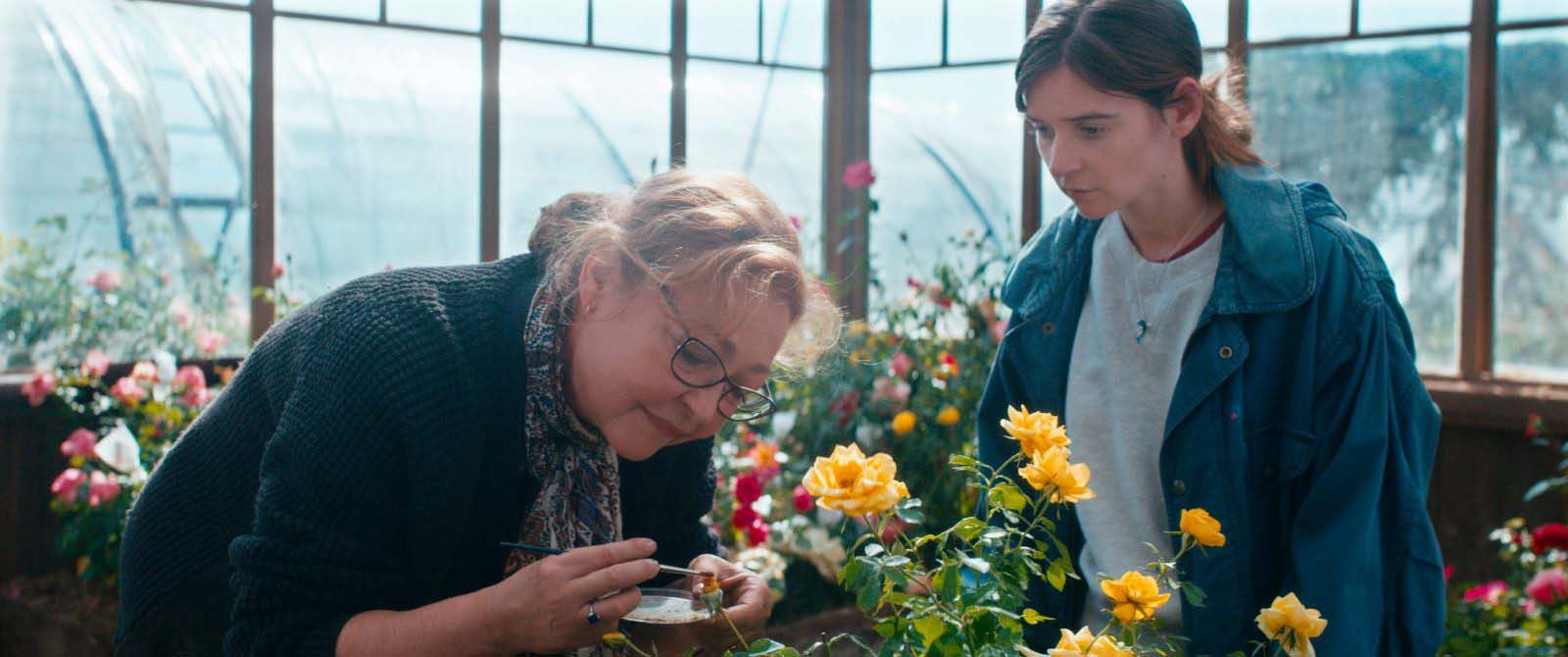 Photo du film La Fine fleur Photo 9 sur 16 AlloCiné Photo du film La Fine fleur Photo 9 sur 16 AlloCiné