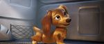 Paw Patrol: The Movie