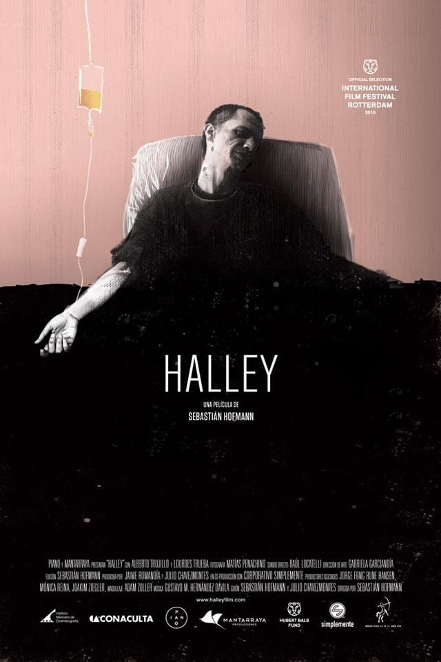 Halley streaming gratuit