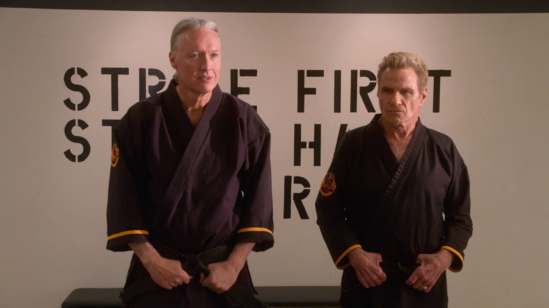 Poster Cobra Kai saison 4 - Affiche 46 sur 144 - AlloCiné