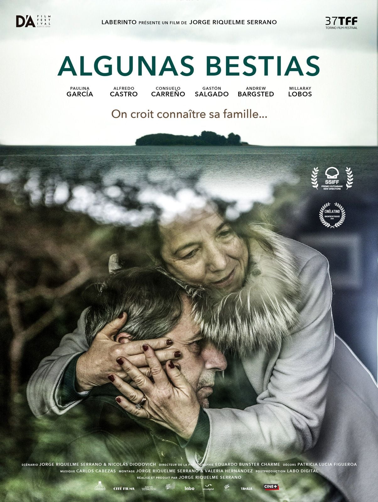 Algunas bestias streaming fr