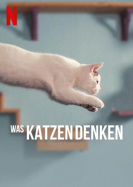 Notre Langue Aux Chats Film 22 Allocine
