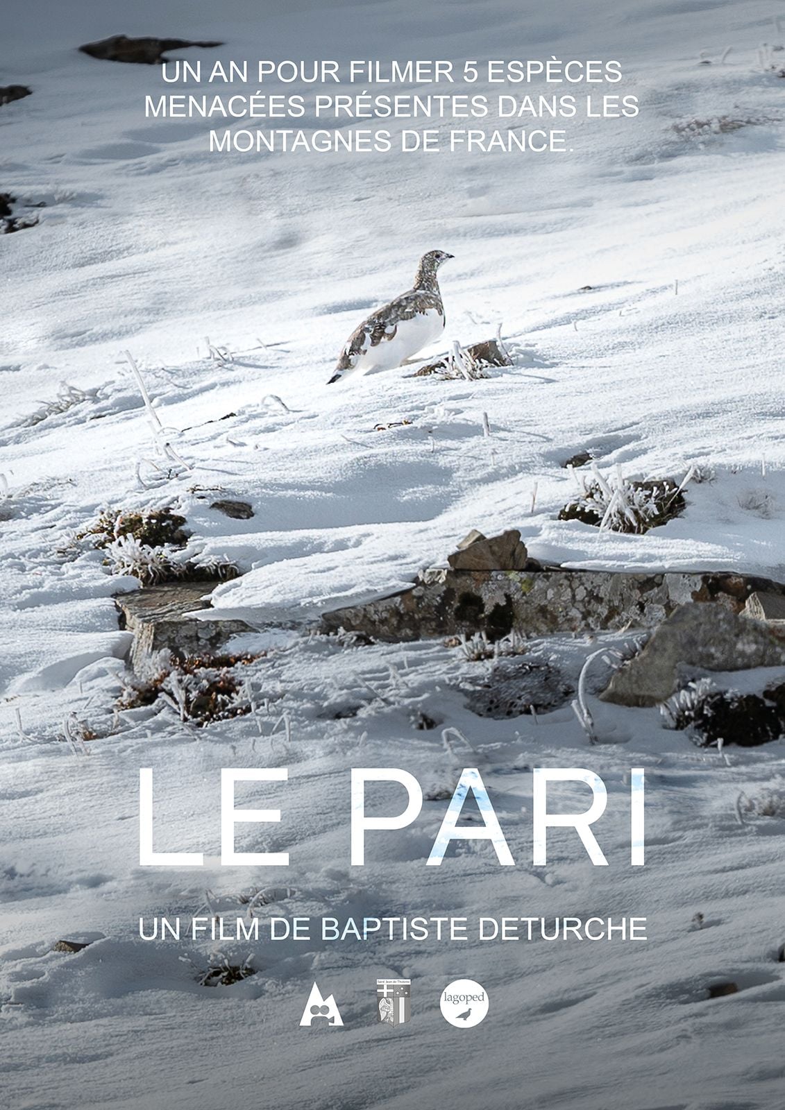 Le Pari streaming gratuit