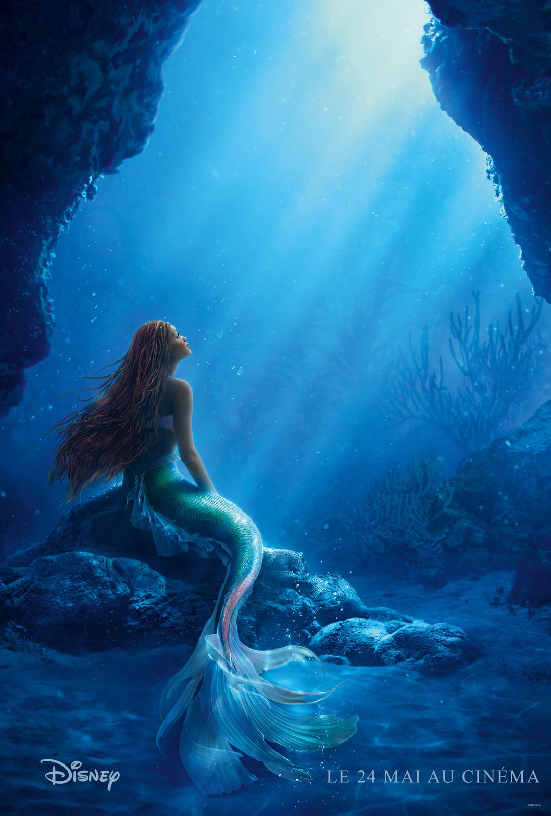 La Petite Sirene Film Disney 2021 La Petite sirène - film 2023 - AlloCiné