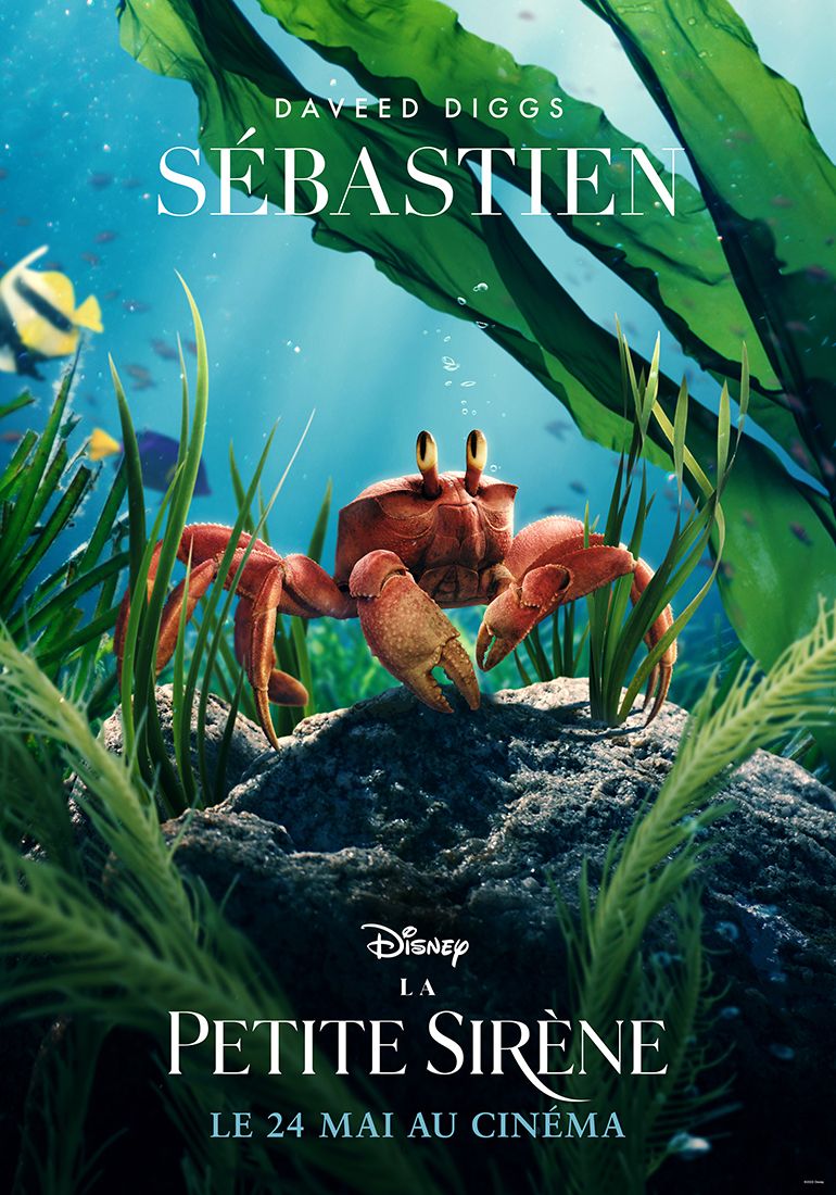 Affiche La Petite Sirne