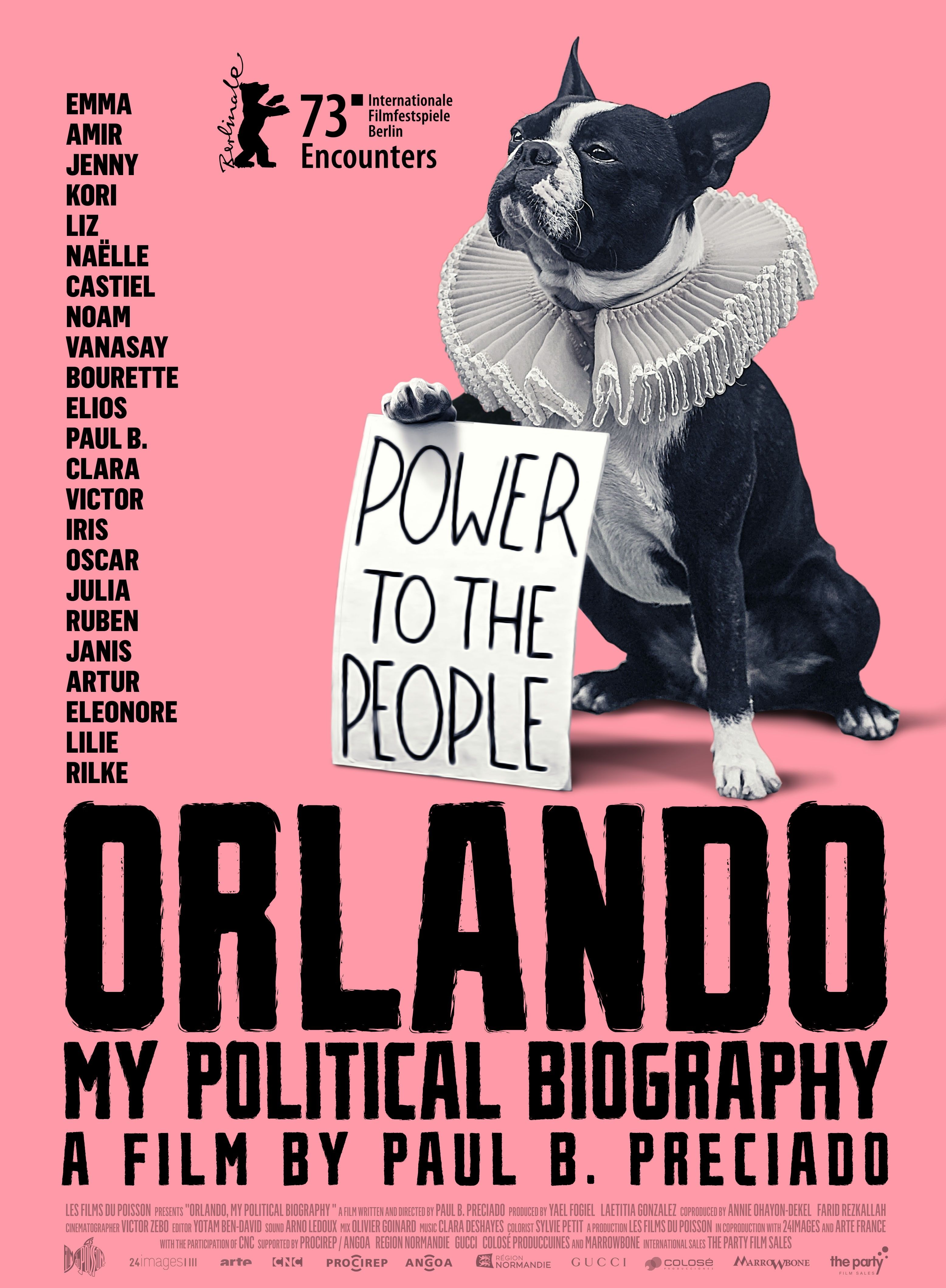 Orlando, ma biographie politique streaming fr