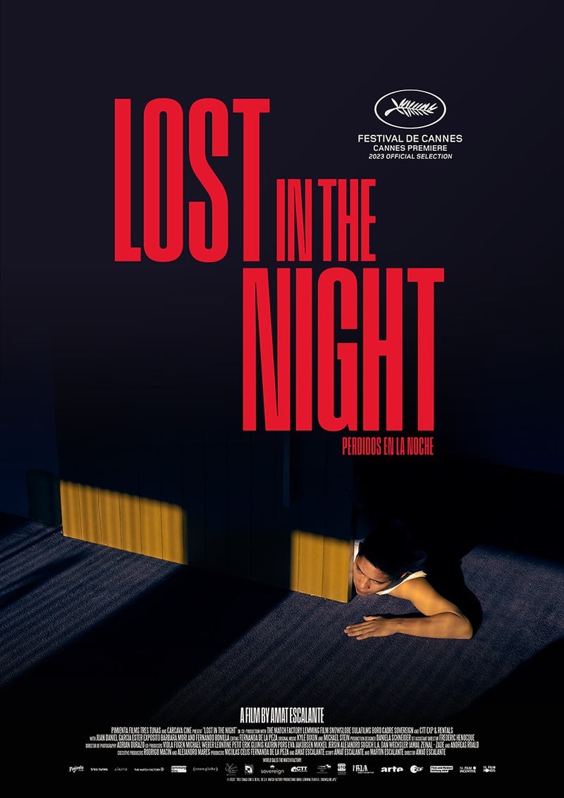 Lost In The Night streaming fr