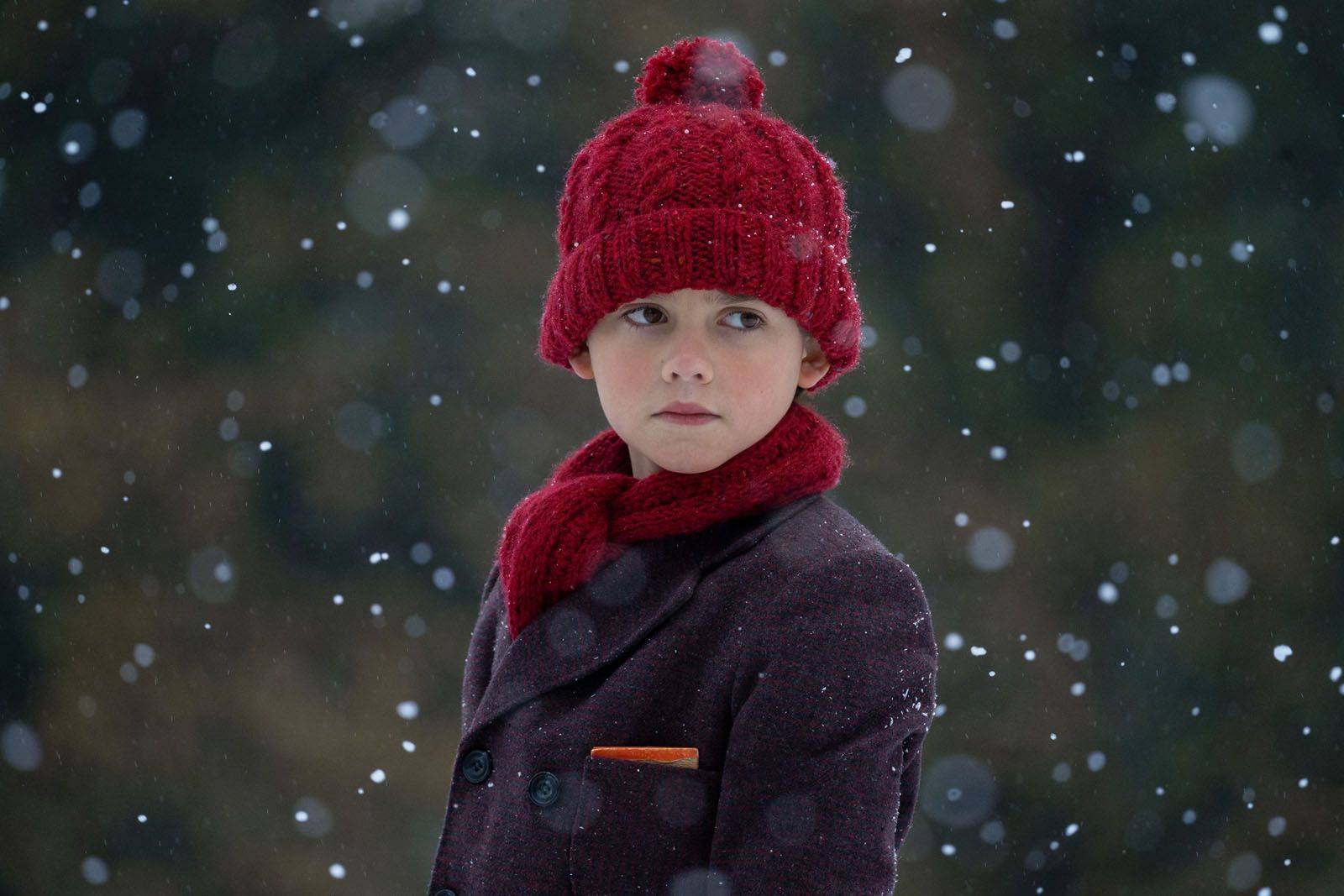 Phoenix La Roche Photo de Phoenix Laroche - Le Lapin de velours : Photo Phoenix Laroche ...