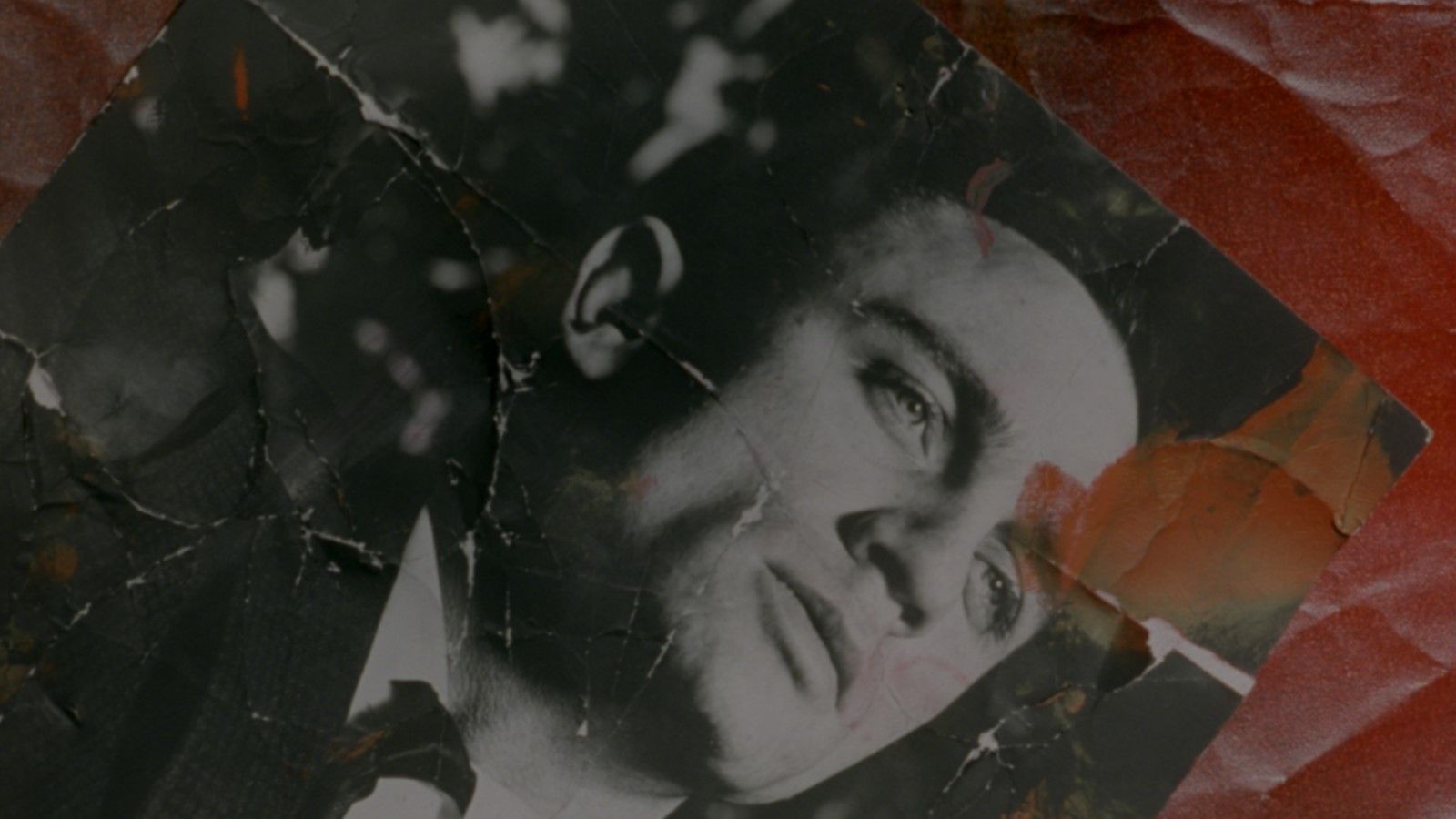 Photo du film Love Is the Devil - Photo 19 sur 29 - AlloCiné