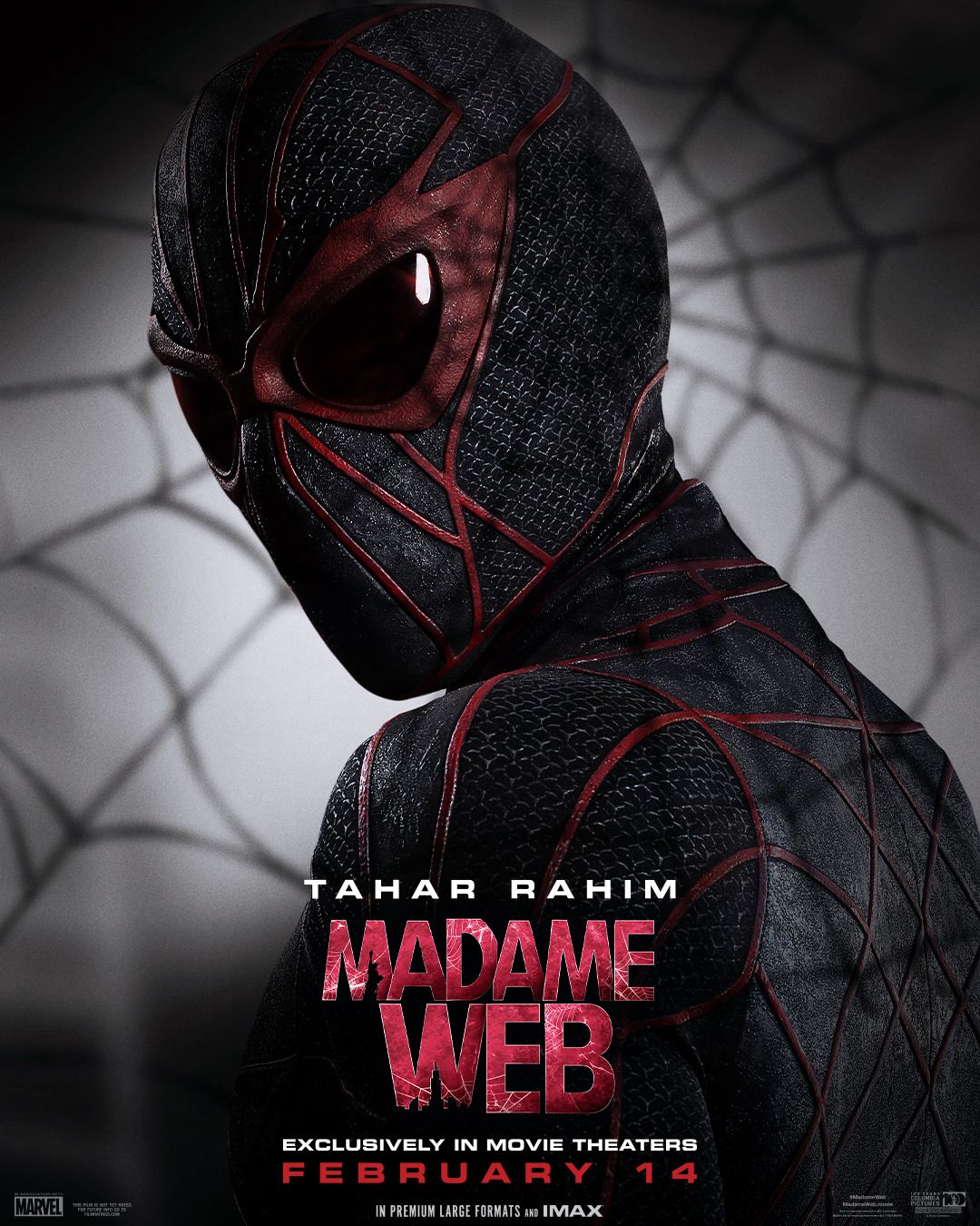 Affiche Du Film Madame Web - Photo 19 Sur 29 - AlloCiné