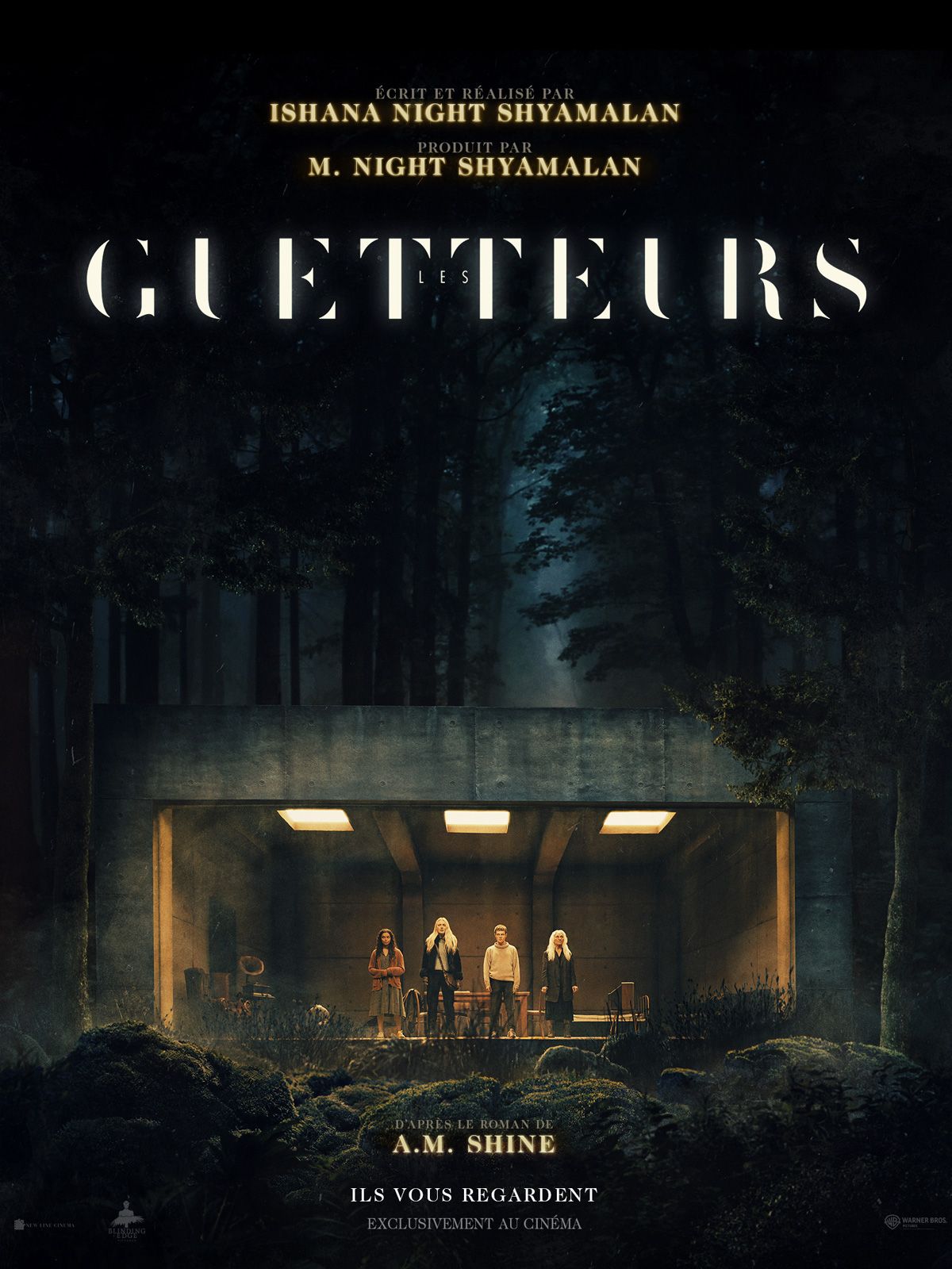 Les Guetteurs streaming gratuit