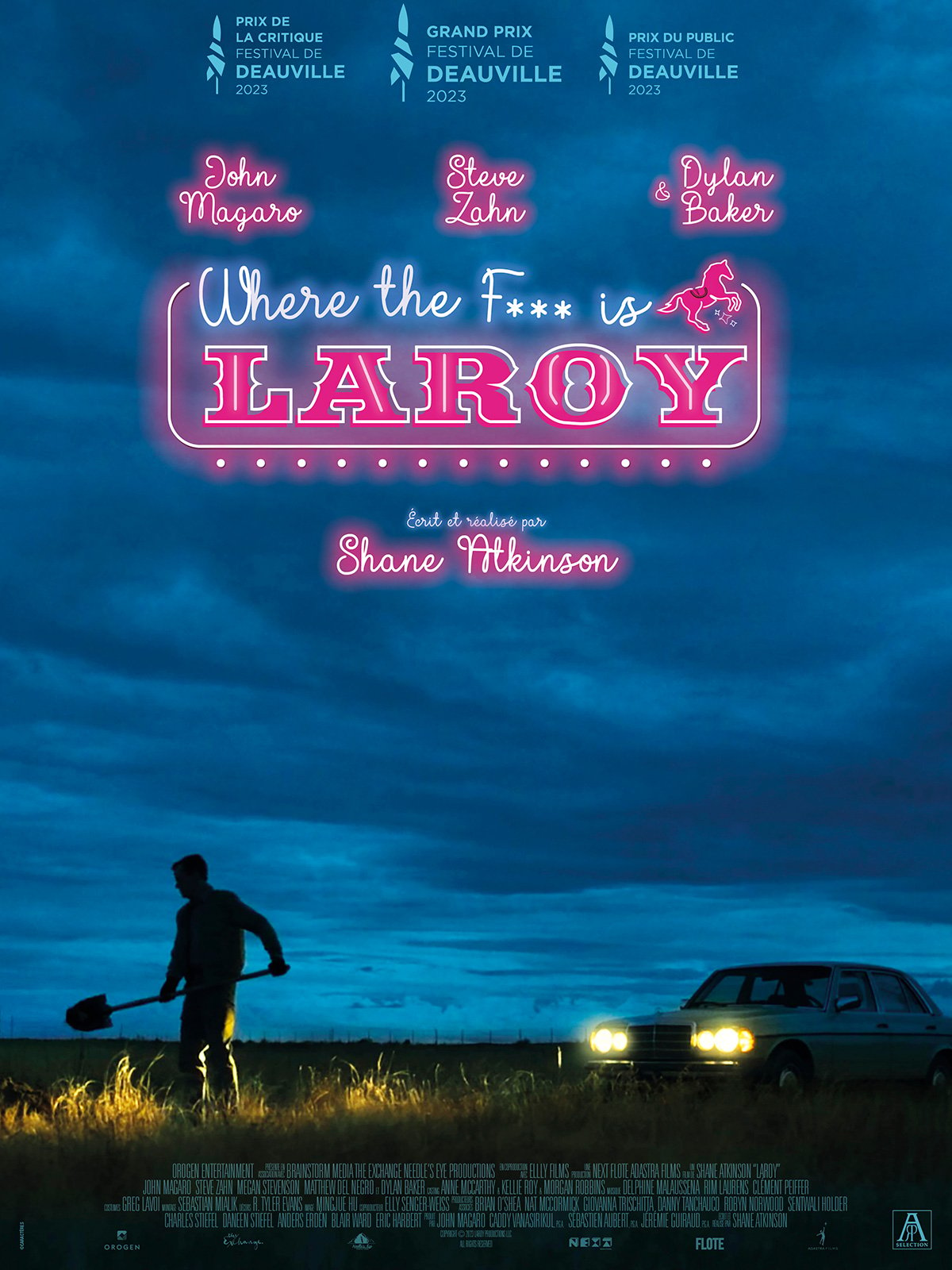 Affiche film LAROY
