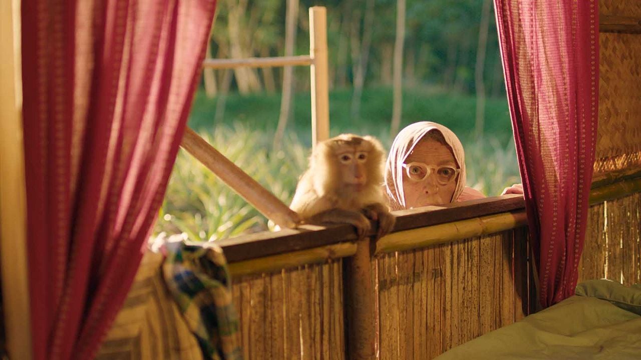 Les Bodins En Thaïlande Streaming Vf Les Bodin's en Thaïlande au Cinéma CGR Evry