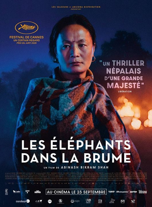Les Éléphants dans la brume : Affiche