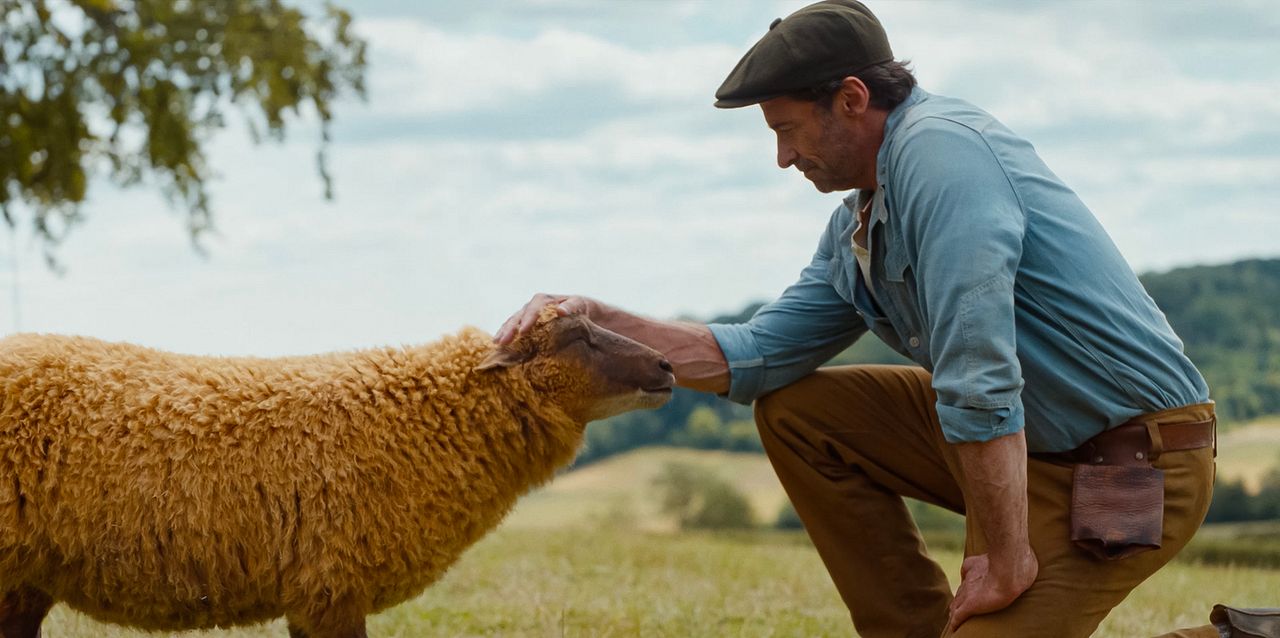 Les Moutons Détectives : Photo Hugh Jackman