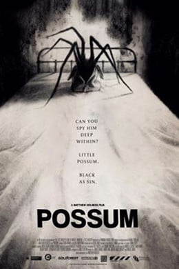 Possum : Affiche