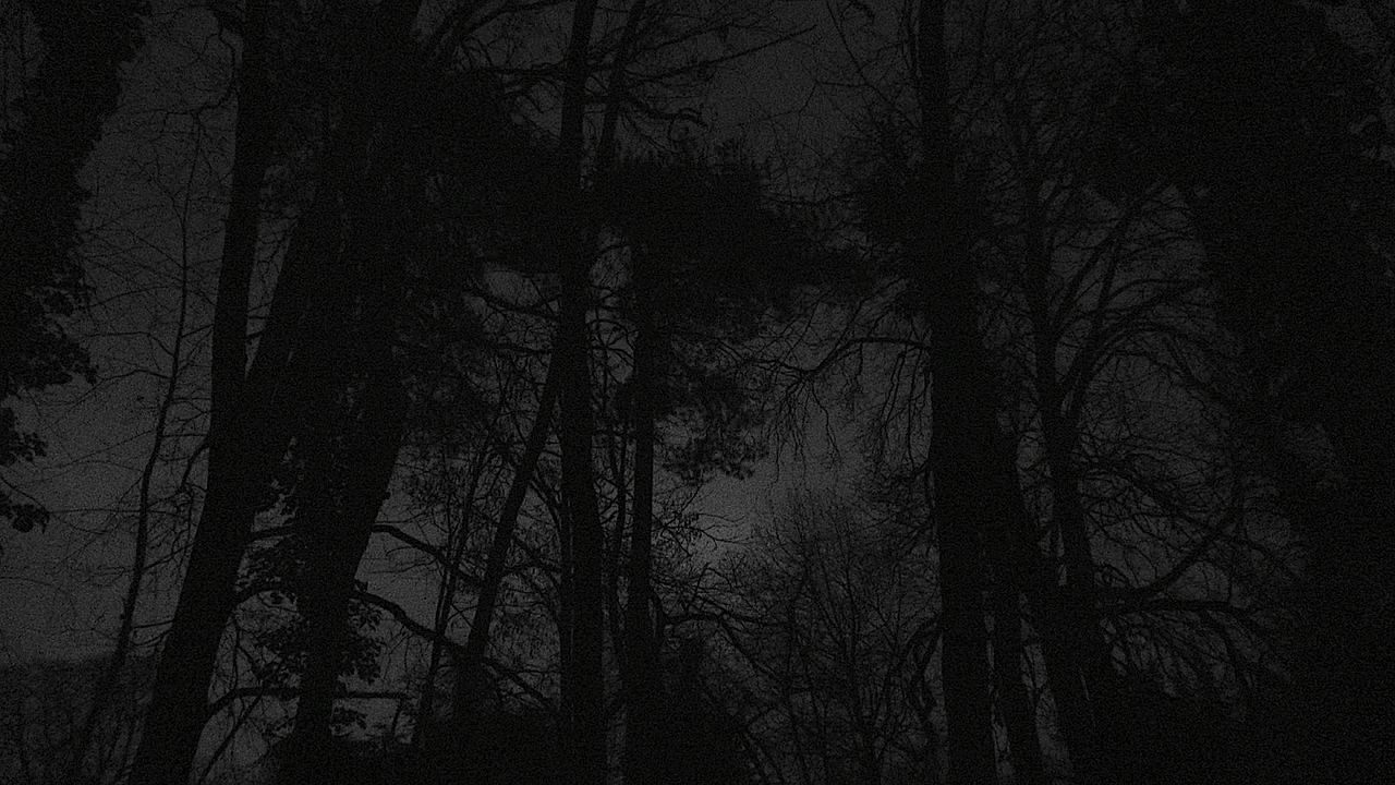 Nuit obscure - Au revoir ici, n'importe où : Photo